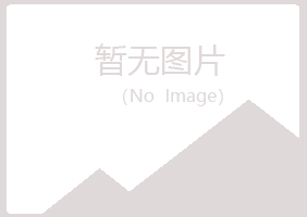 乌海乌达夏日化学有限公司